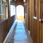 Saunas, steam rooms and change rooms at Elmspa