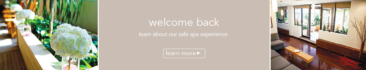 specials at elmspa 